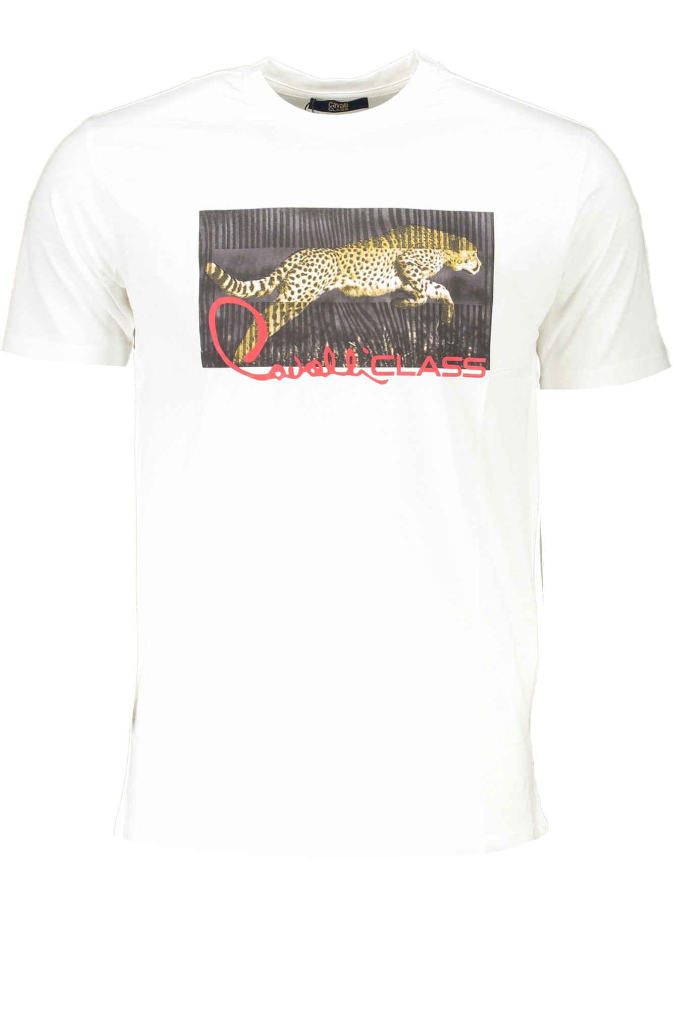 CAVALLI CLASS MEN'S SHORT SLEEVED T-SHIRT WHITE