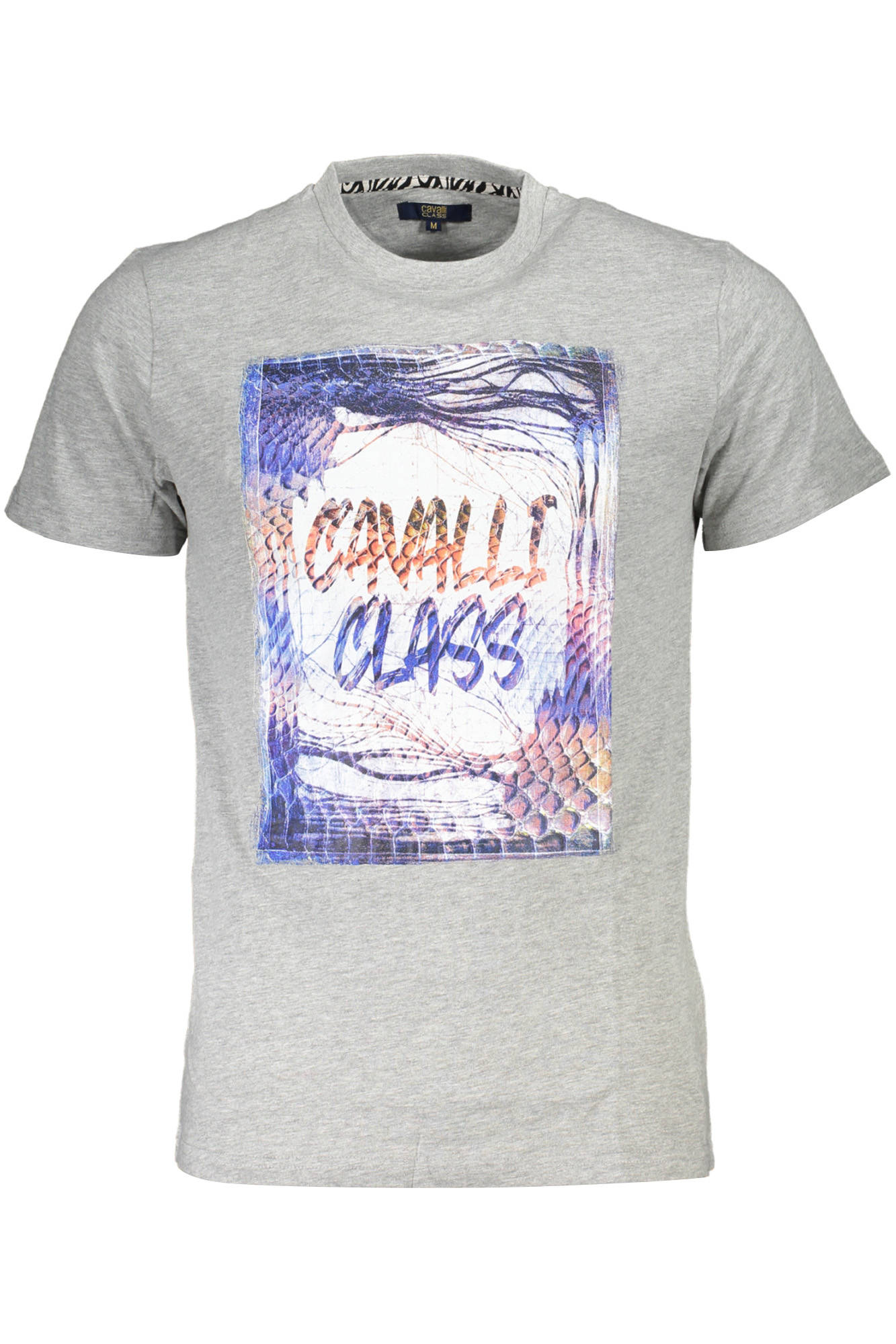 CAVALLI CLASS T-SHIRT SHORT SLEEVE MAN GRAY