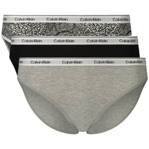 CALVIN KLEIN WOMEN'S BRIEFS GRAY CALVIN KLEIN