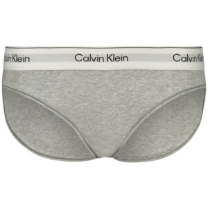 CALVIN KLEIN WOMEN'S BRIEFS GRAY CALVIN KLEIN